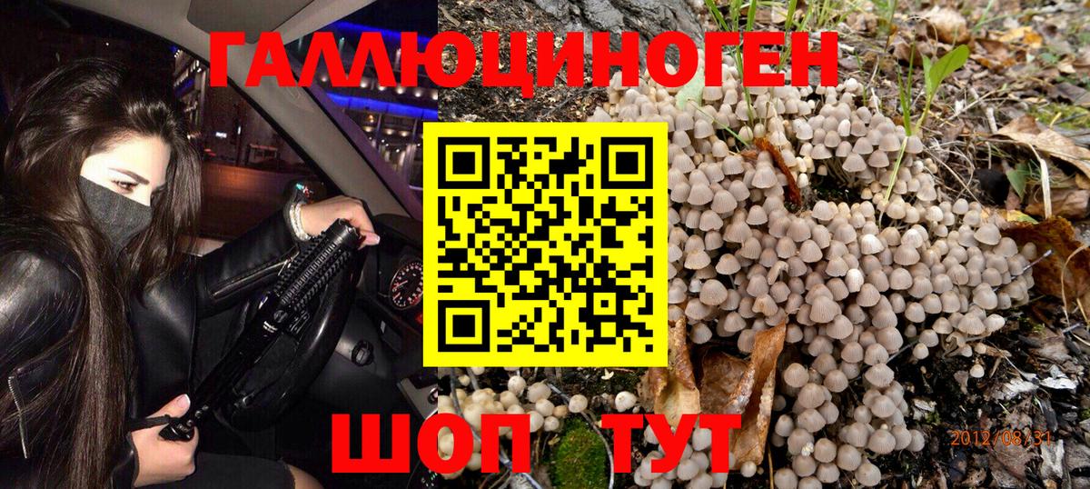 Ялта  Галлюциногенные грибы Magic Shrooms  Вход с VPN 